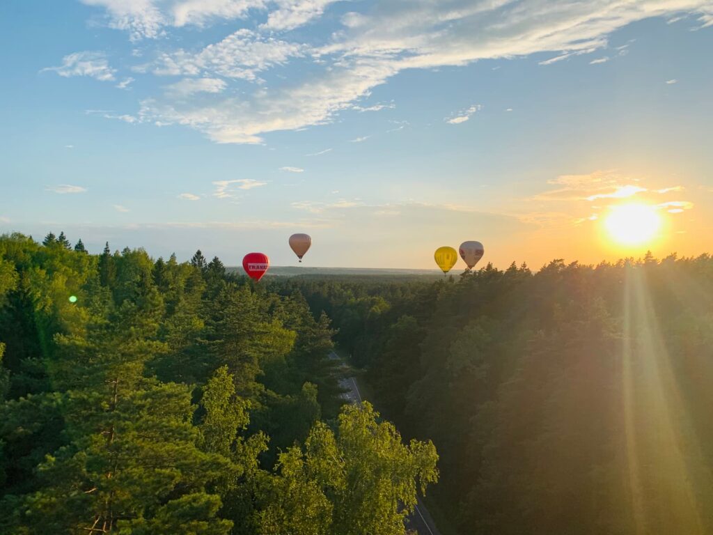 balloons-playing-over-the-trees