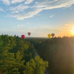 balloons-playing-over-the-trees