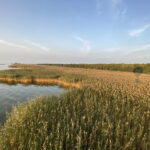 hot-air-balloon-over-nida-curonian-spit05