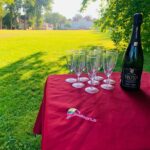 perfect-celebration-bubbles